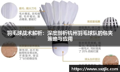 羽毛球战术解析：深度剖析杭州羽毛球队的包夹策略与应用